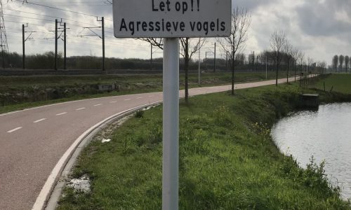 Dag 4 – Recovery