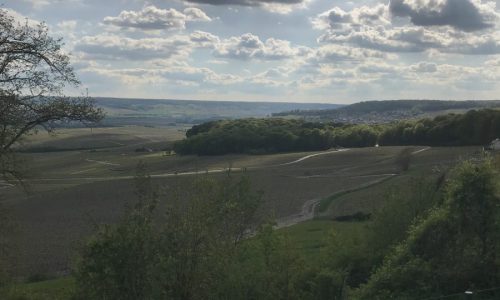 Dag 30: van Reims naar Champillon