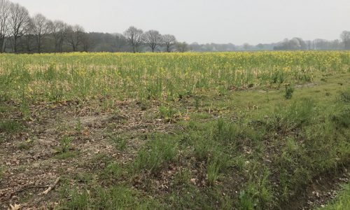 Van Peer naar Genk