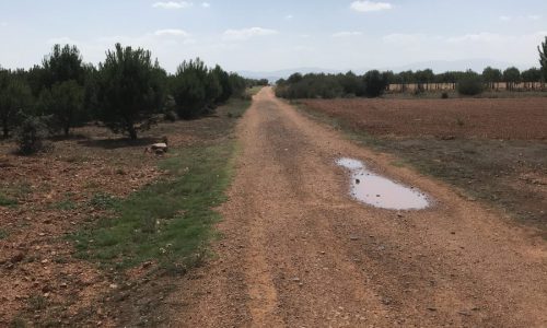 24 juli: a Camino Legend