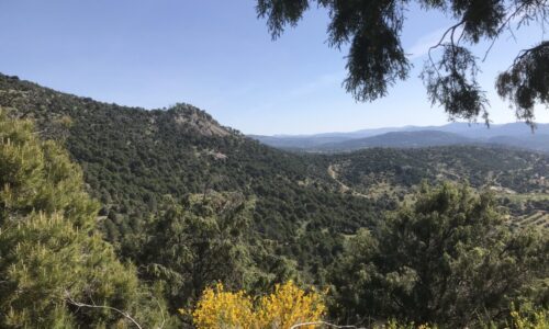 9 May – Total disaster on the way to San Bartolomé