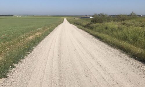 Friday 13 May- A Scorcher!