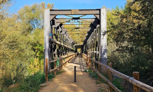 October 8: from Barcial del Barco to Benavente